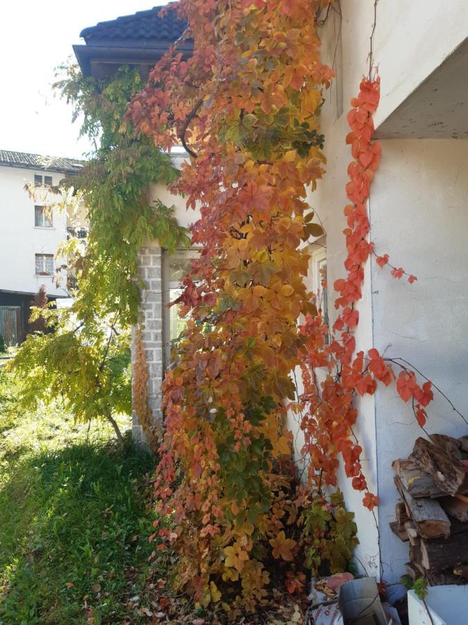 Locanda Rondolost Cencenighe Εξωτερικό φωτογραφία
