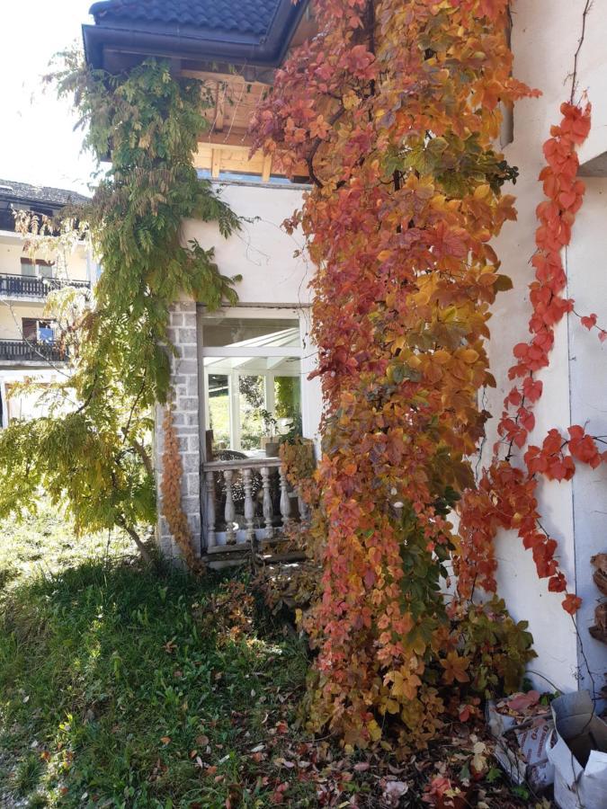 Locanda Rondolost Cencenighe Εξωτερικό φωτογραφία